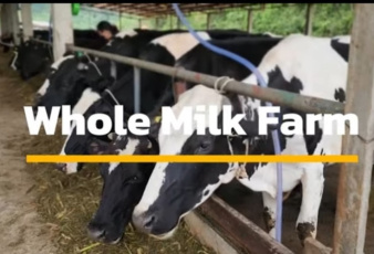 Whole Milk Farm ลูกหลานลำปาง