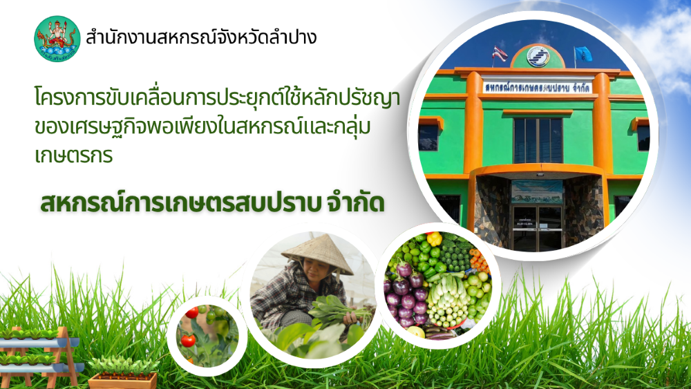 นำเสนอ สหกรณ์การเกษตรสบปราบ 1000