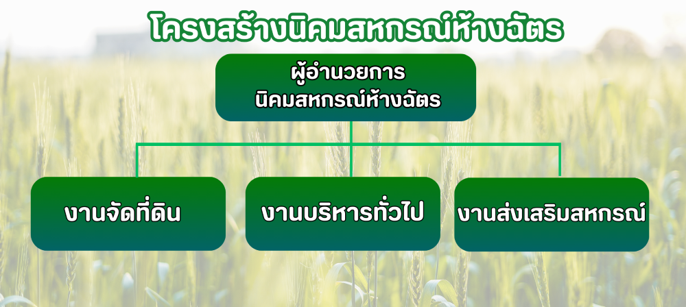 โครงสร้าง