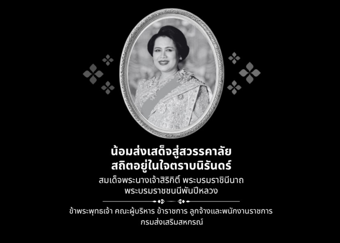 Sk Rinchxt 2025 10 25 184149 335f0b90bc88d77410b7a7de224c53db