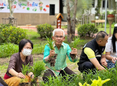 ร่วมเก็บเกี่ยวพืชผักสวนครัว ... พารามิเตอร์รูปภาพ 4