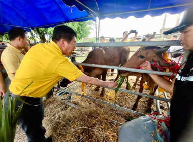 รัฐมนตรีว่าการกระทรวงเกษตรและสหกรณ์ ลงพื้นที่ตรวจราชการ พารามิเตอร์รูปภาพ 10