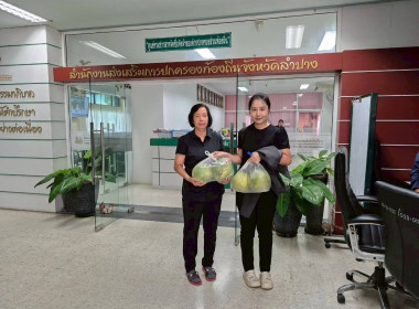 กระจายผลผลิต “ส้มโอพันธุ์ขาวใหญ่” ... พารามิเตอร์รูปภาพ 1