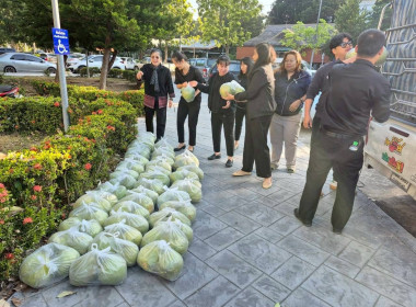 กระจายผลผลิต “ส้มโอพันธุ์ขาวใหญ่” ... พารามิเตอร์รูปภาพ 5
