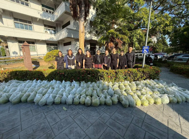 กระจายผลผลิต “ส้มโอพันธุ์ขาวใหญ่” ... พารามิเตอร์รูปภาพ 7