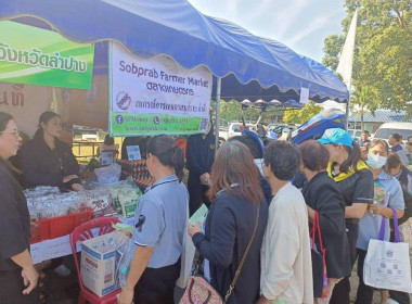 โครงการคลินิกเกษตรเคลื่อนที่ในพระราชานุเคราะห์ ... พารามิเตอร์รูปภาพ 6