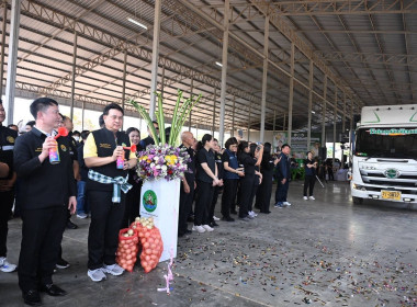 ประชาสัมพันธ์และปล่อยคาราวานหอมหัวใหญ่ พารามิเตอร์รูปภาพ 5