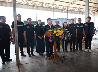 ประชาสัมพันธ์และปล่อยคาราวานหอมหัวใหญ่ พารามิเตอร์รูปภาพ 6