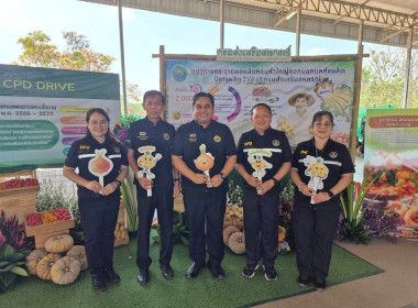 ประชาสัมพันธ์และปล่อยคาราวานหอมหัวใหญ่ พารามิเตอร์รูปภาพ 7