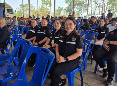 ประชาสัมพันธ์และปล่อยคาราวานหอมหัวใหญ่ พารามิเตอร์รูปภาพ 9