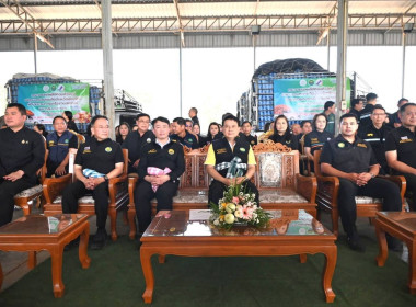 ประชาสัมพันธ์และปล่อยคาราวานหอมหัวใหญ่ พารามิเตอร์รูปภาพ 13