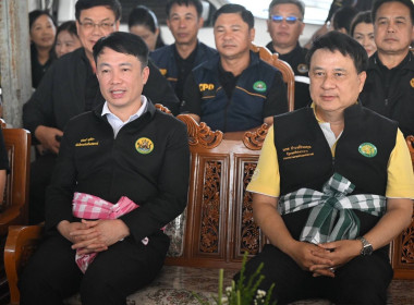 ประชาสัมพันธ์และปล่อยคาราวานหอมหัวใหญ่ พารามิเตอร์รูปภาพ 1