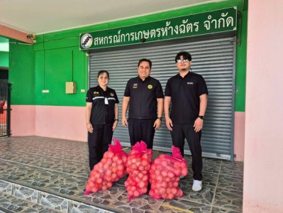ร่วมกระจายผลผลิตหอมหัวใหญ่ออกนอกแหล่งผลิตของสมาชิกสหกรณ์ฯ พารามิเตอร์รูปภาพ 1