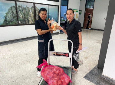ร่วมกระจายผลผลิตหอมหัวใหญ่ออกนอกแหล่งผลิตของสมาชิกสหกรณ์ฯ พารามิเตอร์รูปภาพ 5