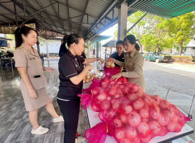 ร่วมกระจายผลผลิตหอมหัวใหญ่ออกนอกแหล่งผลิตของสมาชิกสหกรณ์ฯ พารามิเตอร์รูปภาพ 7