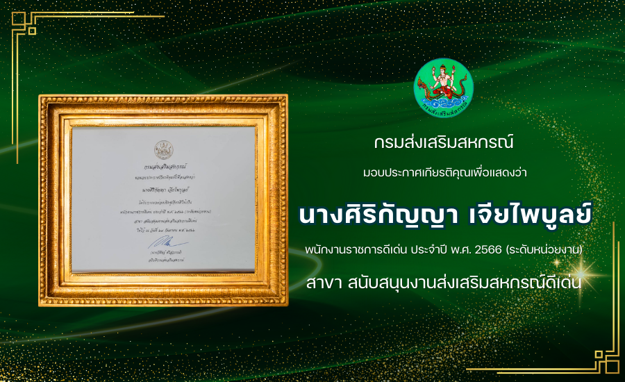 11.สนับสนุนงานส่งเสริมดีเด่น 66