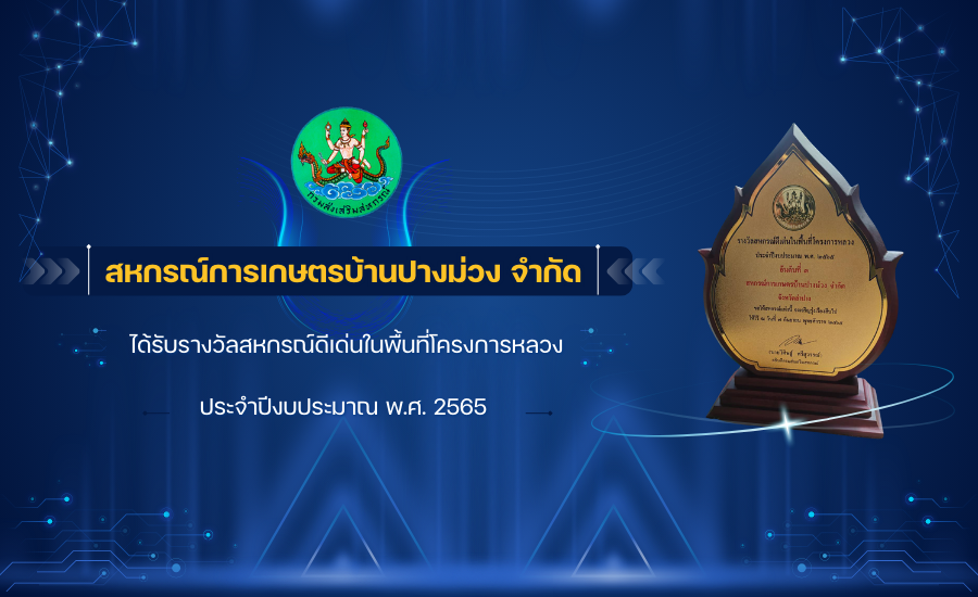 3. สกก.ปางม่วง 65